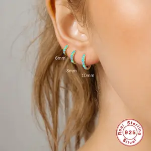 Fashion Ladies Earrings Jewelry 2023 Sterling Silver 925 Hip Hop Hoop Earrings Set For Women