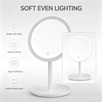 Miroir de maquillage personnalisé avec logo, miroir de bureau à une face avec lumières LED à intensité variable, rechargeable par USB, miroir de courtoisie rond en plastique