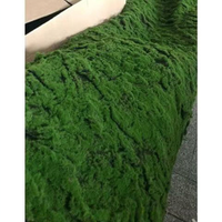 Tapis de mousse artificielle vert mousseux, texture en grumeaux, pour fond de terrarium de plantes succulentes, décoration murale, couverture de bonsaï