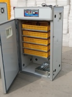 Incubateur et éclosoir automatique pour 440 œufs de poulet