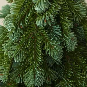 <span class=keywords><strong>Sapin</strong></span> de Noël Nordmann en PE de qualité supérieure, réaliste, en pot, pour décoration intérieure et de bureau, écologique et personnalisable - Product Image 5