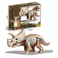 Kit de Modélisation 3D DIY de l'Anatomie du Triceratops, 37 Pièces, Squelette et Organes Détachables, Jouet Scientifique Éducatif STEM sur les Dinosaures pour Enfants