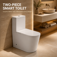 WC intelligent à poser au sol certifié CE, avec bidet intégré, sans bride, à chasse directe, siphon S/P, réservoir d'eau, pour projets, vente en gros directe usine