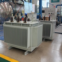 Transformateur immergé dans l'huile 630 kVA 10 kV S22 triphasé abaisseur de tension 10000 V à 400 V pour distribution extérieure