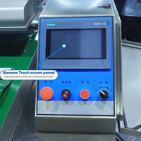 Machine d'emballage sous vide professionnelle à rouleaux pour légumes marinés et viandes marinées
