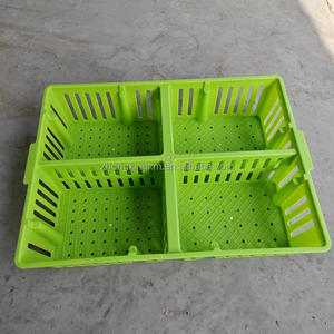 ตะกร้าไก่เด็กพลาสติก กล่องขนส่งไก่ จัดส่ง ตะกร้าไก่ PP อายุ 1 วัน ขาย กล่องหมุนเวียน 4 ฉากกั้น - Product Image 2