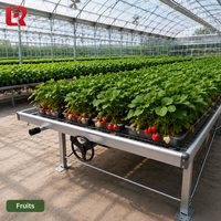 Banc de serre mobile en métal galvanisé à chaud, peu encombrant et ergonomique, pour une culture efficace des plantes