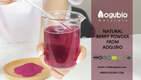 Fourniture d'usine Maqui Berry Poudre Organique Maqui Berry Freeze Poudre Sèche 100% Soluble Dans L'eau Maqui Berry Poudre