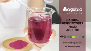 Suministro de fábrica <span class=keywords><strong>Maqui</strong></span> Berry Powder Organic <span class=keywords><strong>Maqui</strong></span> Berry Freeze Dry Powder 100% Water Soluble <span class=keywords><strong>Maqui</strong></span> Berry Powder - Product Image 6