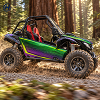 Kart tout-terrain personnalisé 2 places avec cage de sécurité et pneus à crampons profonds pour les dunes de sable et les pistes de loisirs