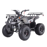ATV CE 110 Murah Buatan Cina, Kendaraan Roda Empat 110cc Mini Quad Bike Anak Otomatis dengan Gigi Mundur, ATV Pertanian