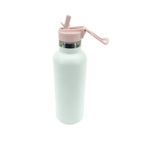 Bouteille d'eau isotherme à double paroi en acier inoxydable de 22 oz, écologique, imprimée sérigraphiée, avec paille rabattable, pour activités sportives en extérieur