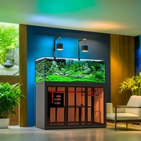 Aquarium en verre style industriel à vue ouverte avec filtre à débordement latéral, pompe de filtration et faible entretien pour rivière ou ruisseau