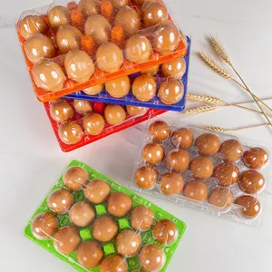 Tùy chỉnh 6/12/15/18/30 lỗ khay trứng Pet nhựa dùng một lần siêu thị màu trứng carton - Product Image 3