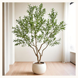 Grand Olivier Artificiel de 250CM (8FT) en Pot Rond pour Intérieur : Maison, Hôtel, Restaurant, Café - Product Image 3