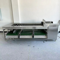 Beste verkoop Kiwi Wortel Passievrucht Roller Sizer Sorteermachine Elektronische Groenten Fruit Sorteerlijn Aardbeien Verwerkingslijn