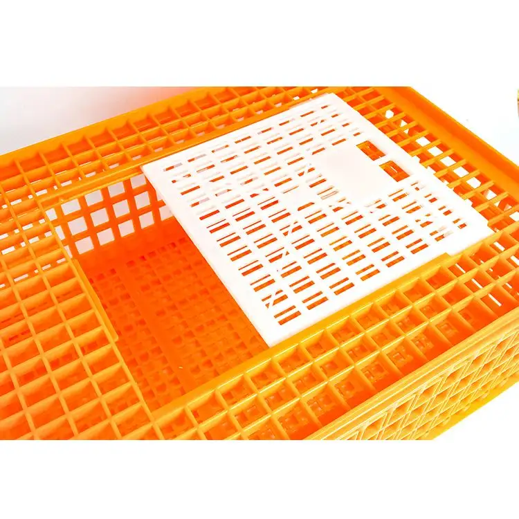 Plastic Transportation Chicken Crate Cages For Live Adult Chicken