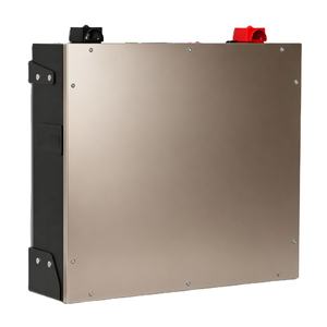 Dyness DL5.0C Nouvelle batterie solaire Batterie au lithium Mur d'alimentation Batterie Lifepo4 pour la maison 51.2v 100ah 1c 300 Ah 51.2v 5kwh Lithium-ion - Product Image 1