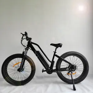26 वसा टायर बिजली साइकिल रियर ड्राइव बिजली की मोटर बाइक बड़ा लिथियम बैटरी इलेक्ट्रिक बाइक 48V 750W बिजली mountainbike