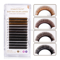 DAMMAN Color Easy Fans Lashes 0.07 D Curl Mix11-13/Mix 13-15mm 4 couleurs/plateaux Auto Fans Volume Cils Cils Professionnels