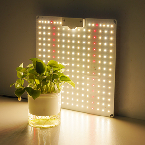 Panel <span class=keywords><strong>de</strong></span> Luz <span class=keywords><strong>de</strong></span> Cultivo <span class=keywords><strong>de</strong></span> Alto PPFD, Espectro Completo LED, 150W, Quantum Board para Cultivo <span class=keywords><strong>Vertical</strong></span> Comercial <span class=keywords><strong>de</strong></span> Lechuga y Fresas - Product Image 6