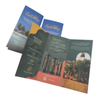 Impression personnalisée de manuels d'instructions tripliés de haute qualité, menus de restaurant, brochures, prospectus publicitaires, dépliants
