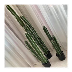 Nastro per decorazioni per la casa nastro da disegno il pilastro di Cactus ha spine - Product Image 3