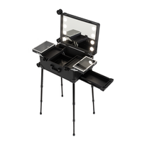 Valise de maquillage professionnelle à roulettes en aluminium, 4 roues, résistante à l'eau, avec miroir LED intégré et pieds pliables cachés, motif rayé tendance