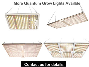 Lampes de culture LED <span class=keywords><strong>Quantum</strong></span> 440W avec LED Samsung Lm301B pour la croissance des plantes d'intérieur - Product Image 4
