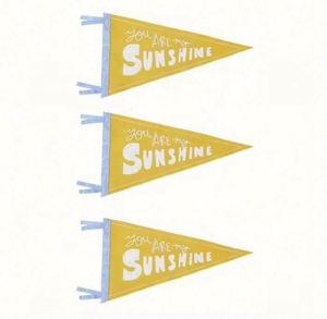 Banderoles triangulaires en feutre pour universités, impression numérique personnalisable, portables, imperméables et écologiques - Product Image 6