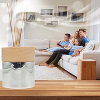 Diffuseur de parfum d'ambiance rond en verre argenté électroplaqué, nouveau design de luxe pour la maison