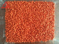 Usine en gros pp pe colonnaire particules orange colorant plastique couleur maître granules