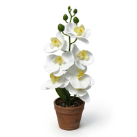 Orchidée papillon artificielle à 7 têtes, bonsaï, fausse Phalaenopsis en pot, ornement