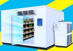 Cámara Frigorífica para Frutas y Verduras: Espino, Ciruela, Albaricoque, <span class=keywords><strong>Cereza</strong></span>, Bayas, Oliva, Mango, Arándanos, Moras, Kiwis - Product Image 5