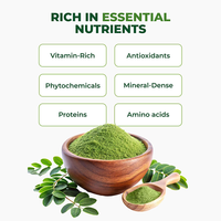 Poudre d'extrait de feuille de Moringa 100 % pure, végétalienne, marque privée OEM, supplément antioxydant pour l'énergie, la santé des articulations, du système immunitaire, de la peau et des cheveux