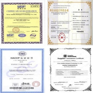 Suplementos Herbales de Quercetina D3 Certificados Sin Gluten para Adultos, Apoyo Inmunológico, Sabor Natural, No Apto para Adolescentes ni Embarazadas - Product Image 5