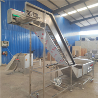 Automatische transportband luchtbellen bladgroente spuitreinigingsapparatuur fruit bubbelwasmachine tomaat appel wasmachine