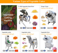 Machine à couper les pommes de terre Sus 304, coupe-oignons, trancheuse de fruits et légumes, coupe-légumes électrique pour carottes