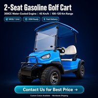 Voiturette de golf à essence 2 places 4 temps GY6 300CC, buggy tout-terrain 2 personnes, couleurs personnalisées OEM, 45 km/h, autonomie 100-120 km