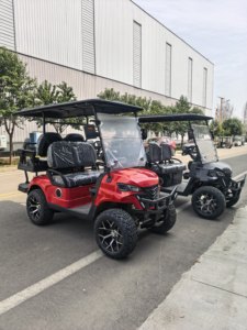 Voiturette de golf 8 places 100% électrique, petit véhicule de golf à quatre rangées pour sites touristiques, clubs et gîtes - Product Image 1