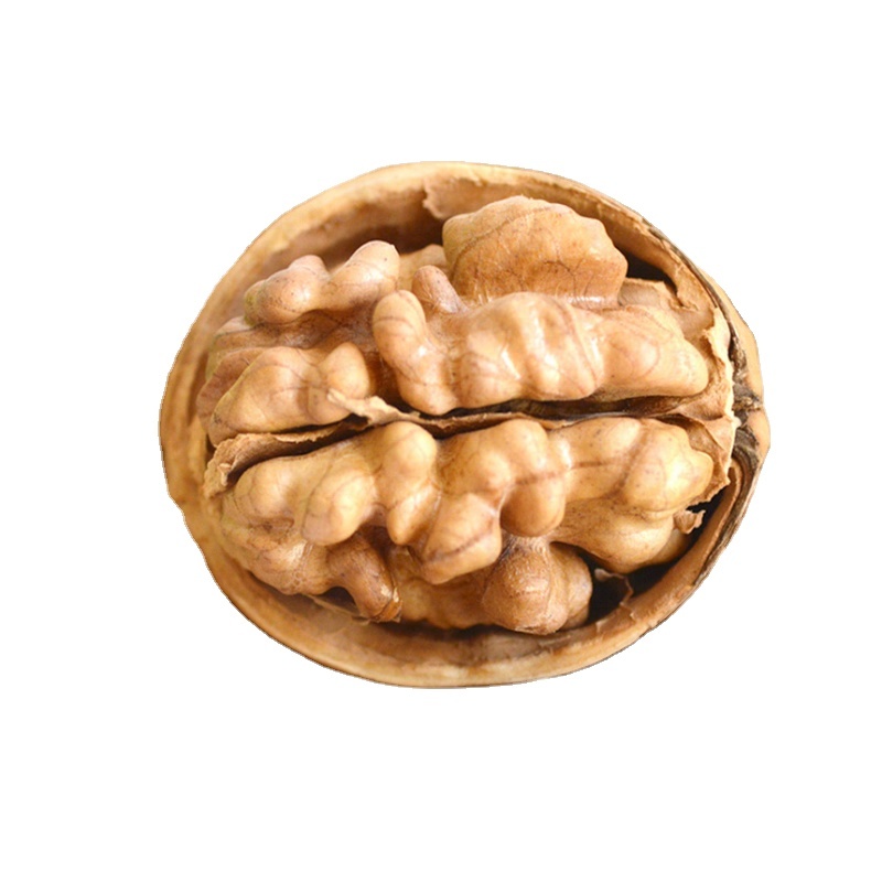 Bulk Roasted Salted Pumpkin Seeds in