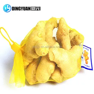 Dingyuan aglio netto macchina di verdure di imballaggio macchina netto sacchetto della maglia senza nodi che fanno
