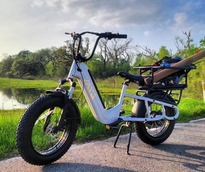 Famille 48v 750w frein à disque vélo électrique  enfants avant près de la boîte famille longue queue électrique <span class=keywords><strong>Cargo</strong></span> Ebike - Product Image 3