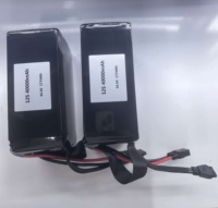 Batterie semi-solide pour drone 6S 12S 14S 18S 20S 16Ah 22Ah 30Ah 40Ah 22.2V 1000 cycles longue durée pour UAV