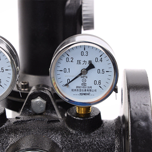 Flanschtyp-Gasdruckregelventil mit Manometer Industrieller Gasdruckminderer - Product Image 5