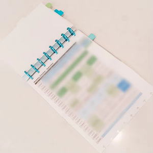 Carnets Premium 2026 en Gros : Agendas à Disques, Anneaux Métalliques pour Reliure, Anneaux Intérieurs en Forme de Cœur pour Reliure à Feuillets Mobiles - Product Image 2