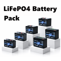 Paket Baterai LifePO4 Deep Cycle 12V 30Ah-120Ah 24V 200Ah untuk RV, Kapal, Sistem Off-Grid, Tenaga Surya, dan Power Station Portabel