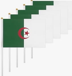 Pays personnalisé 14*21cm Polyester Pays Petit Algérie National Main Agitant Drapeau avec Poteau En Plastique - Product Image 6