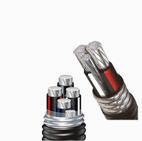Câble d'alimentation en aluminium blindé XLPE PVC Isolation YJV YJLV YJLV22, câbles et fils électriques flexibles