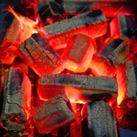 Machine à briquettes pour la fabrication de sciure de bois Machine à presser à chaud pour briquettes de charbon de bois